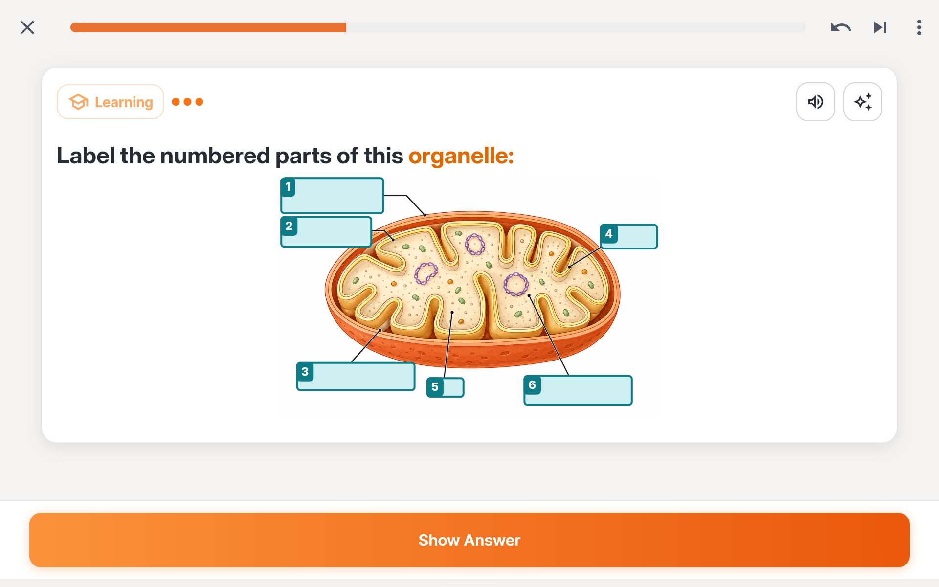 A Quantilo card showing a cell diagram with four numbered areas and their answers